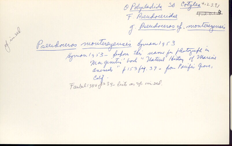index card