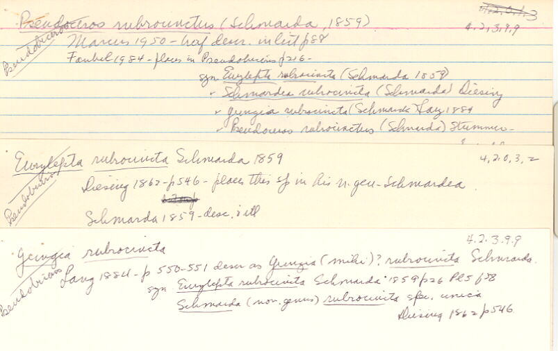 index card