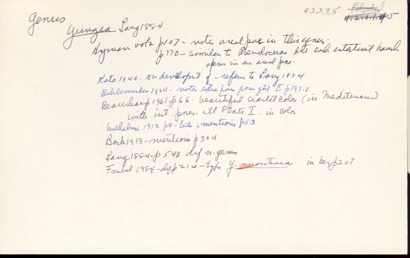 index card