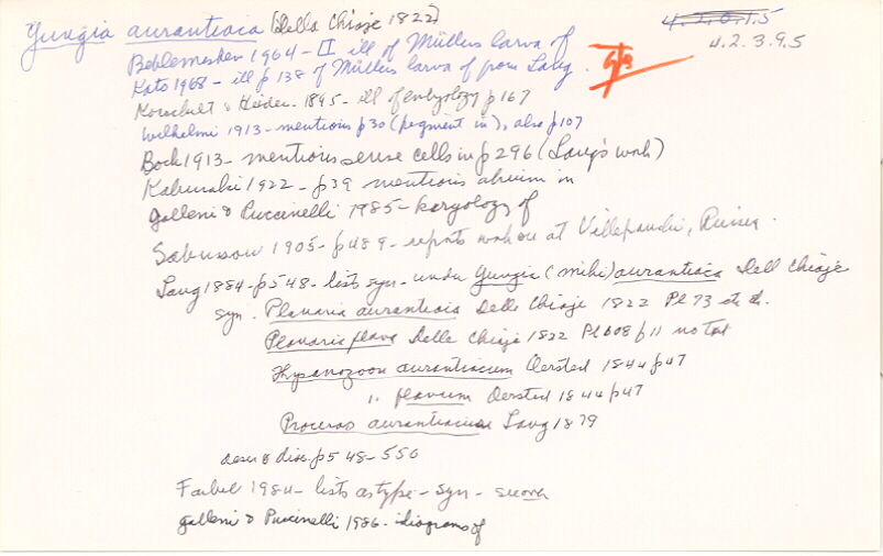 index card