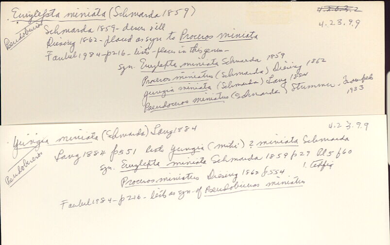 index card