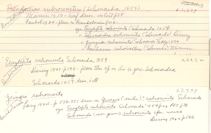 index card