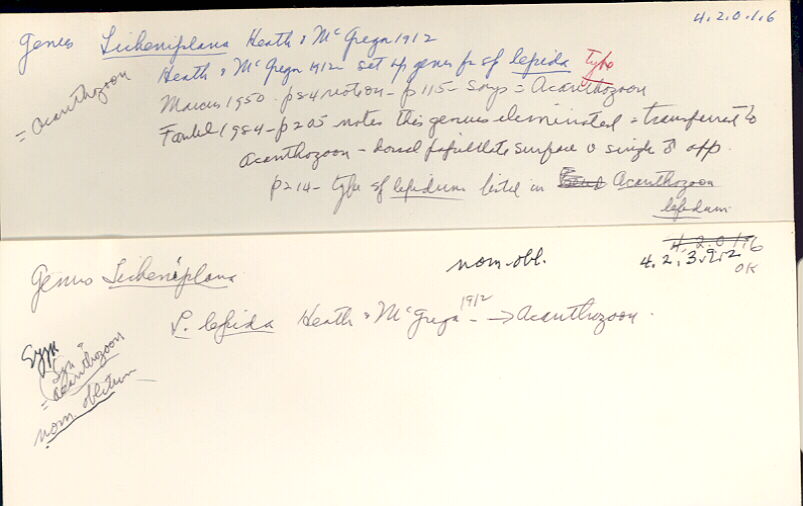 index card