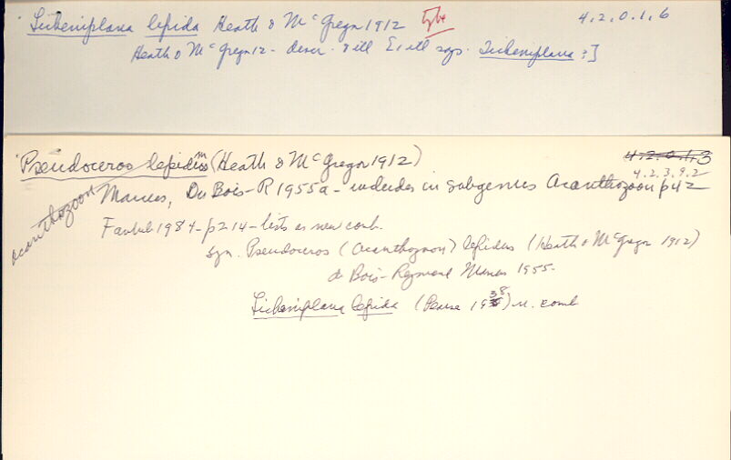 index card