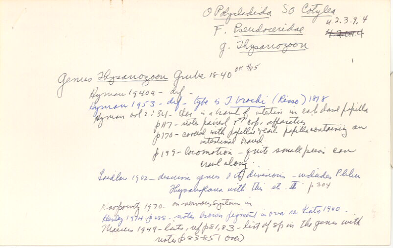 index card