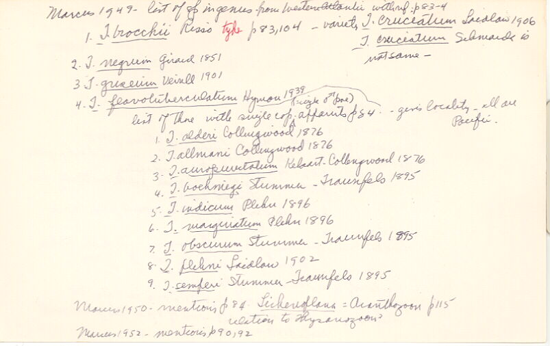 index card