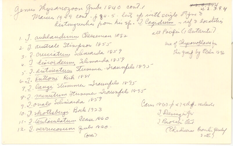 index card