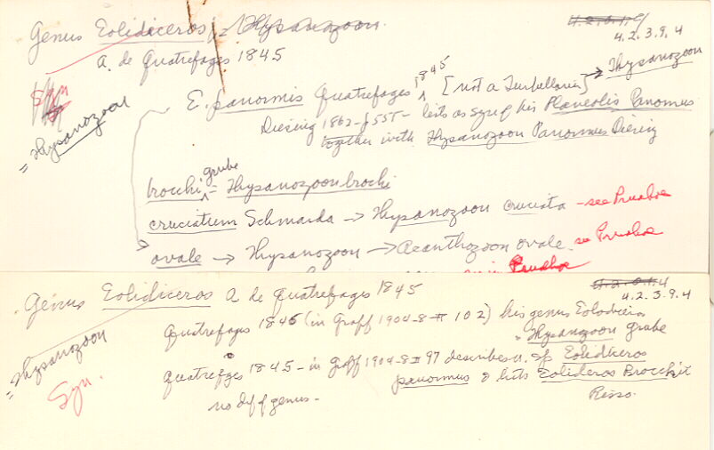 index card