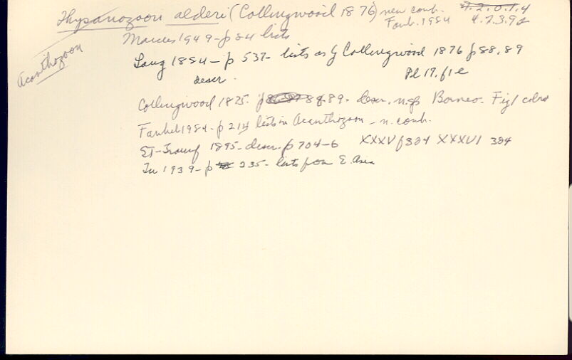 index card