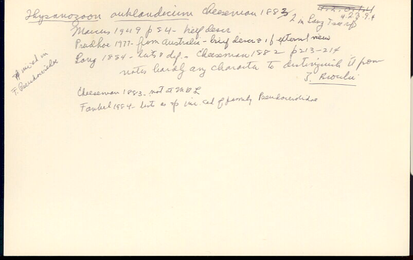 index card