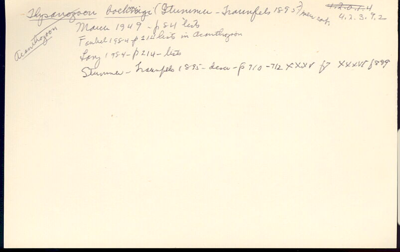 index card