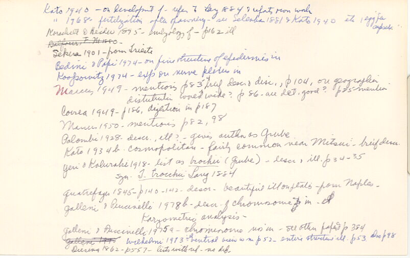 index card