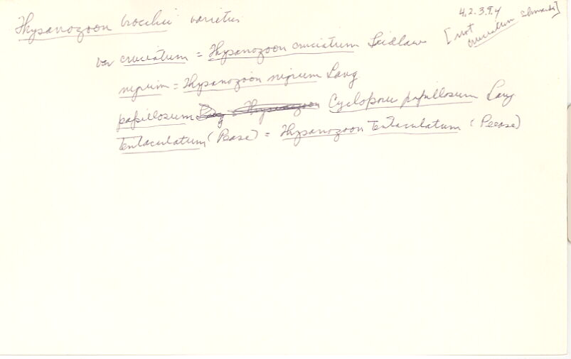 index card
