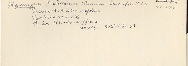 index card