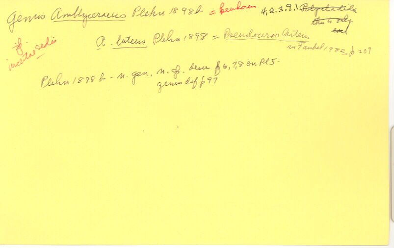 index card