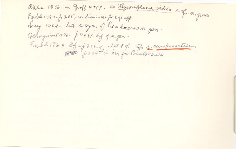 index card