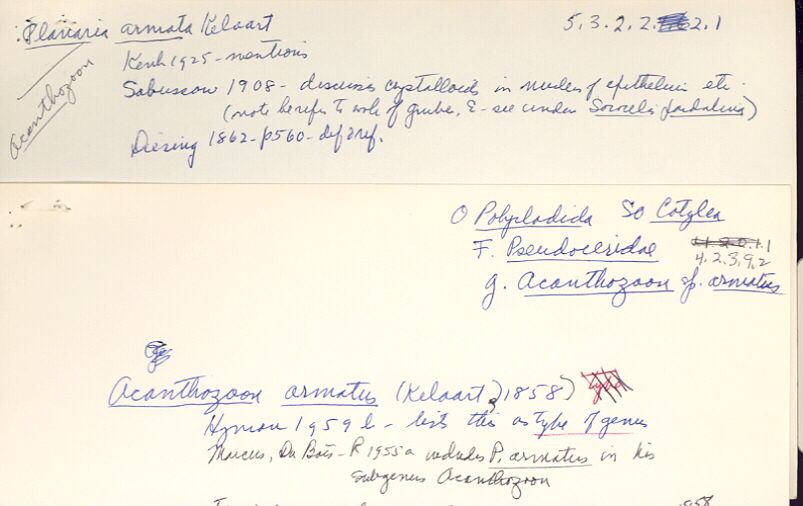 index card
