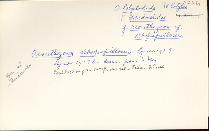 index card