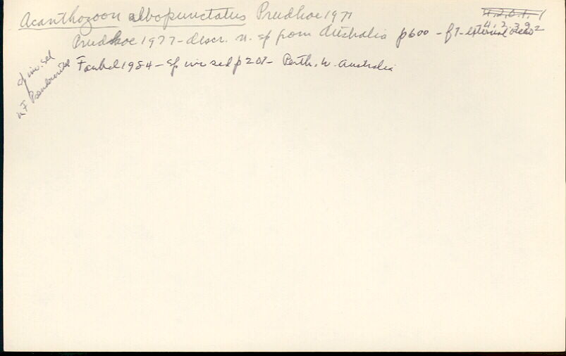 index card