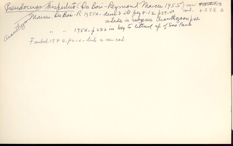 index card