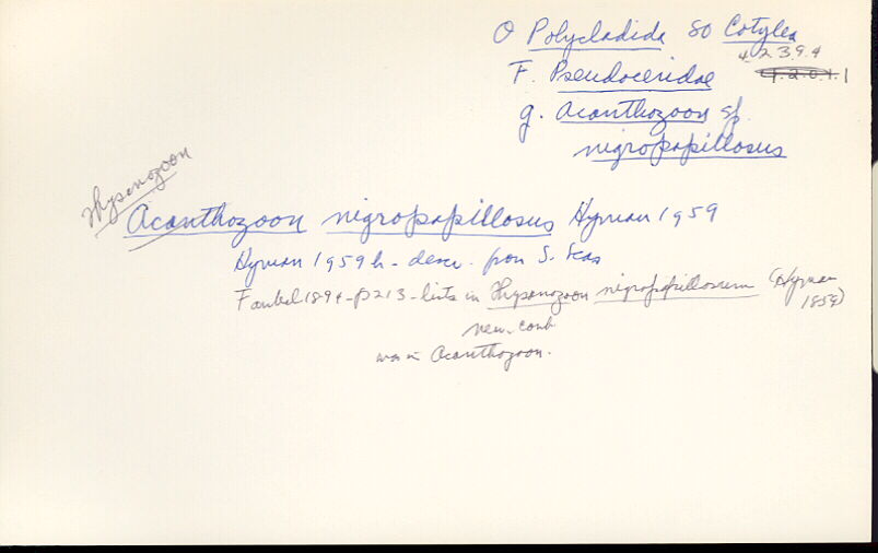 index card