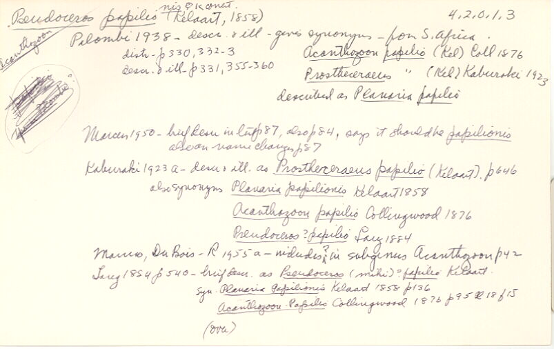 index card