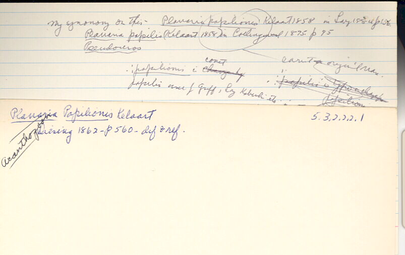 index card