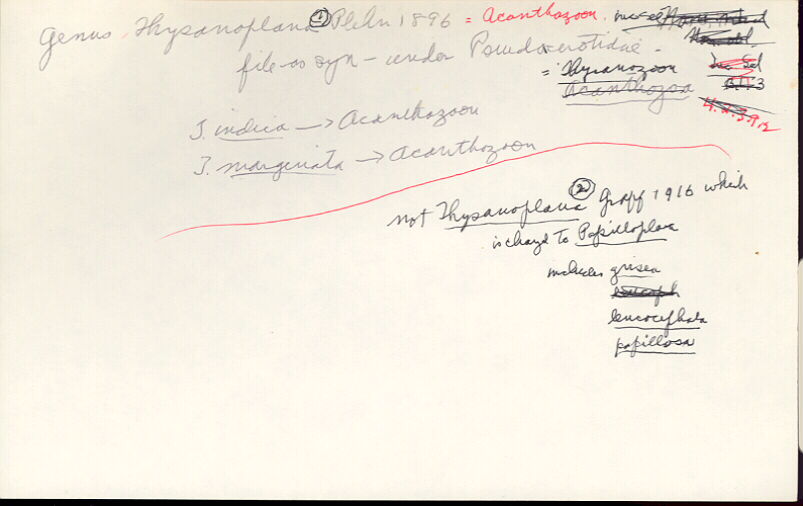 index card