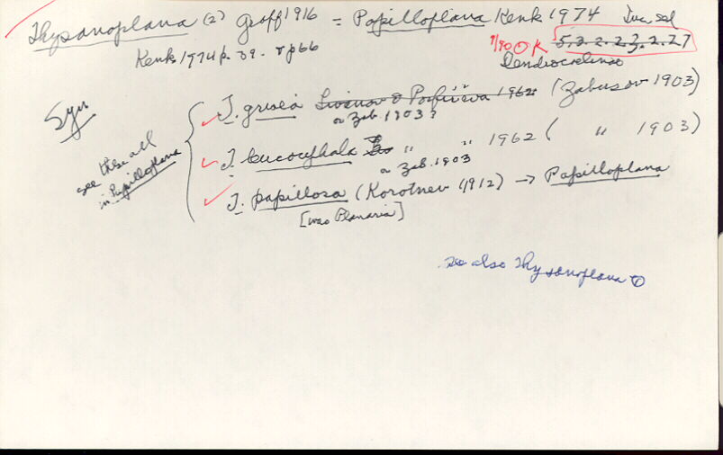 index card