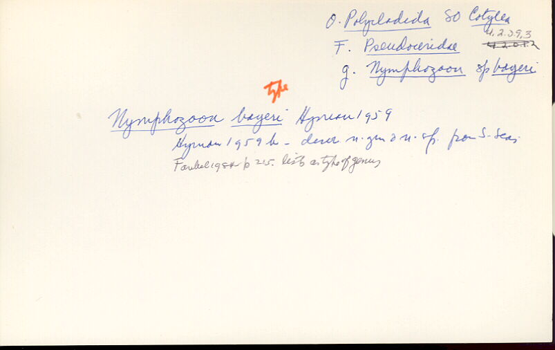 index card