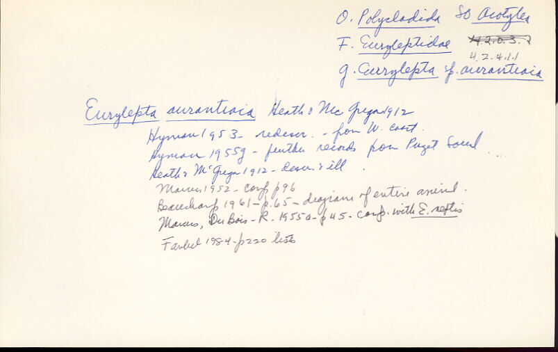index card