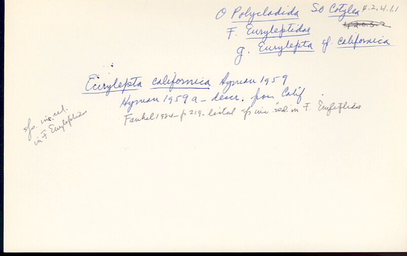 index card