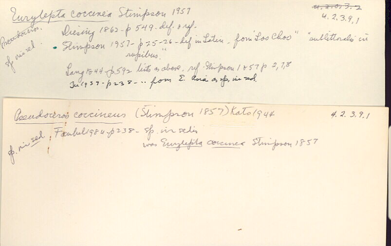 index card