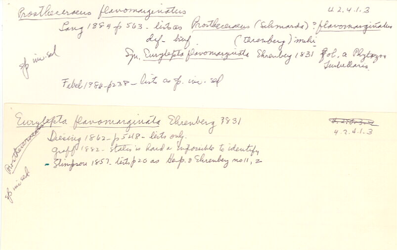 index card