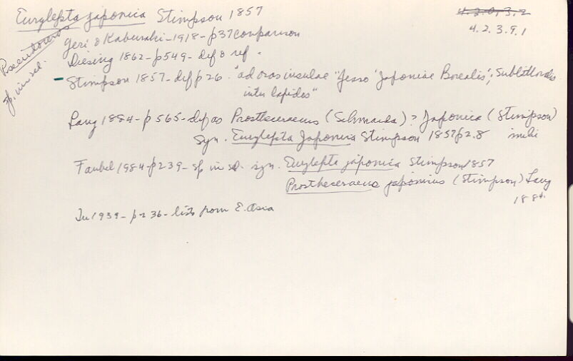 index card