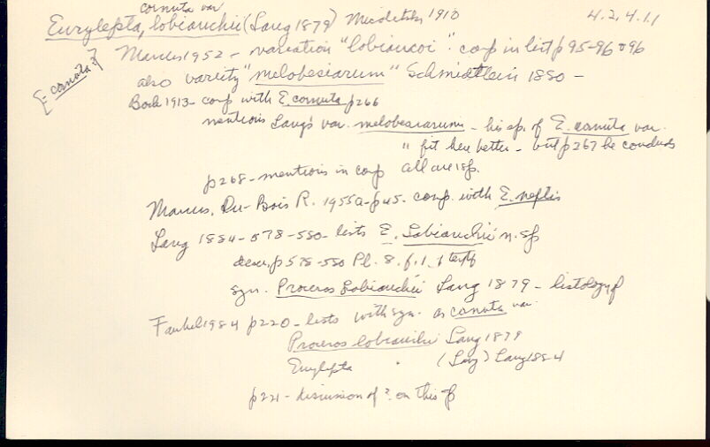 index card