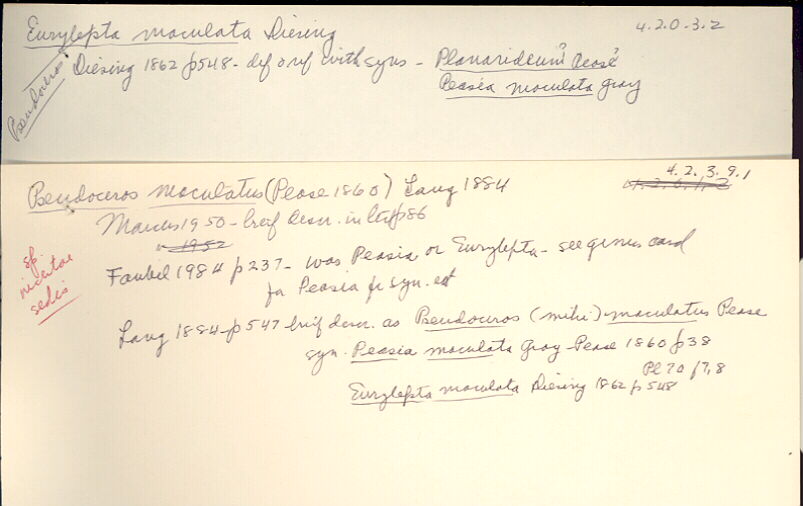 index card