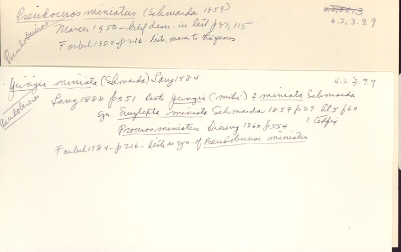 index card