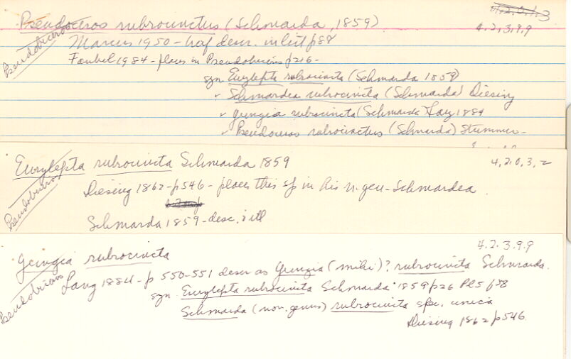 index card