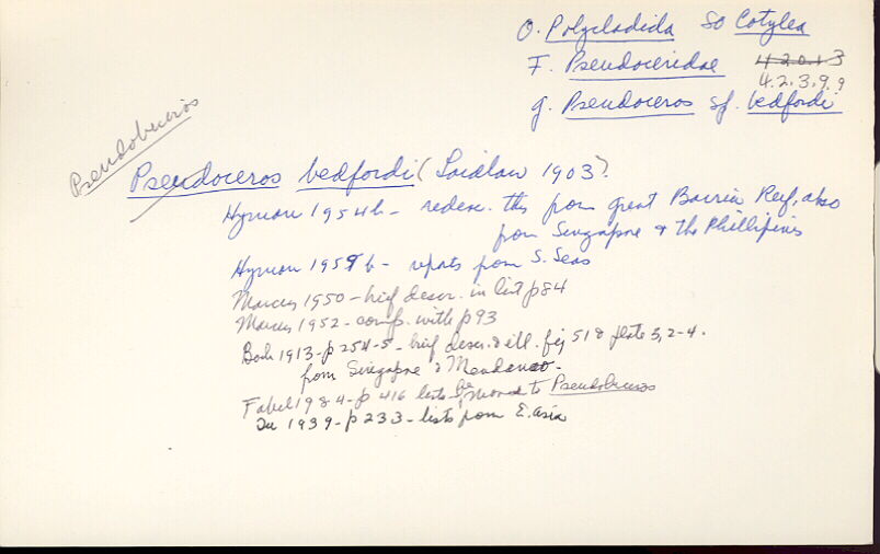 index card