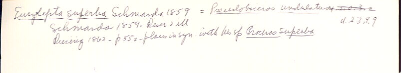 index card