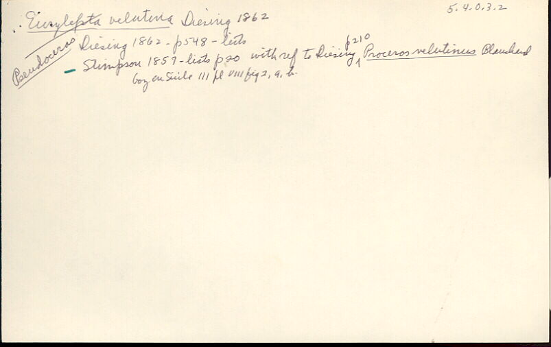 index card