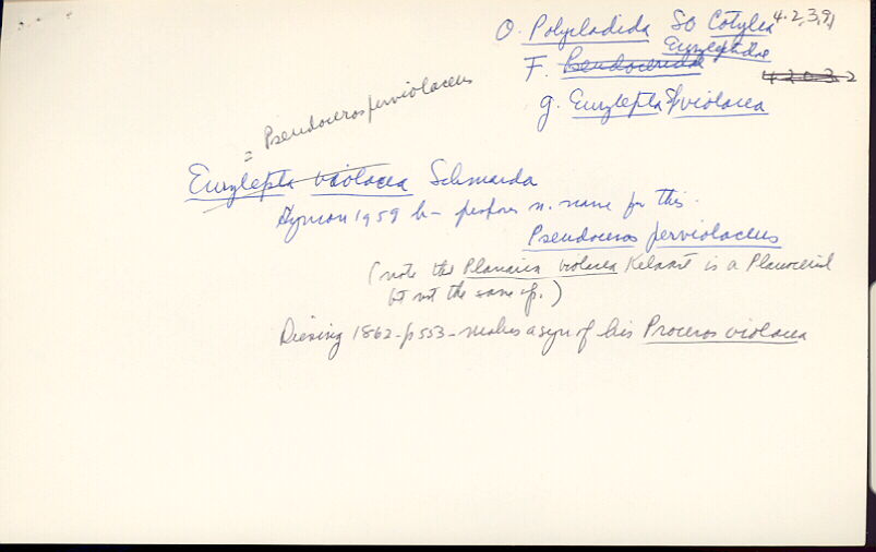 index card