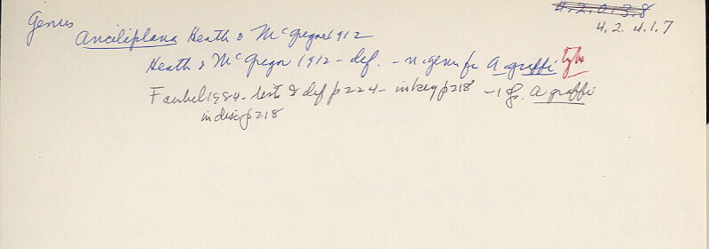 index card