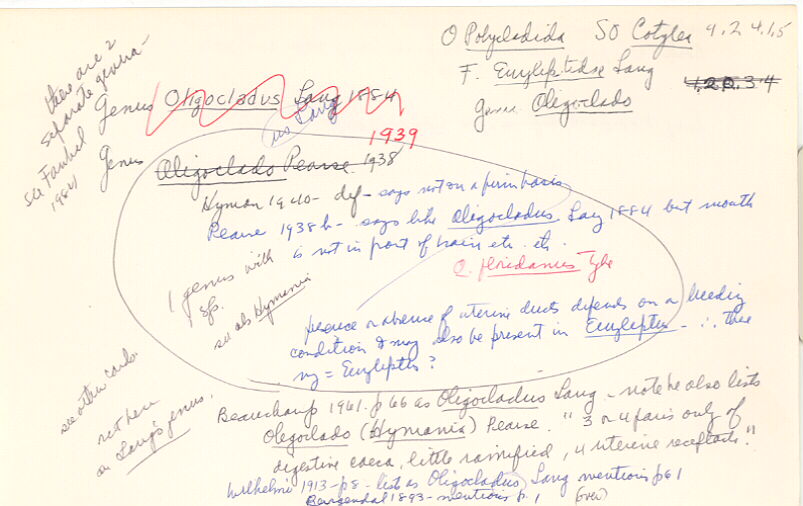 index card