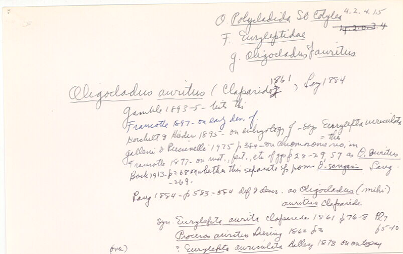 index card