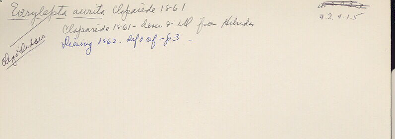 index card
