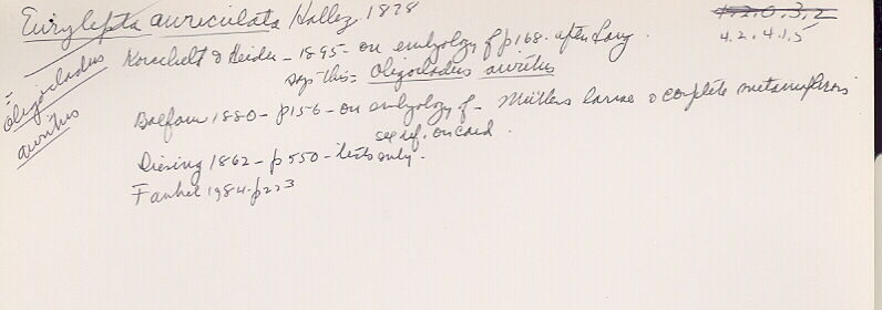 index card