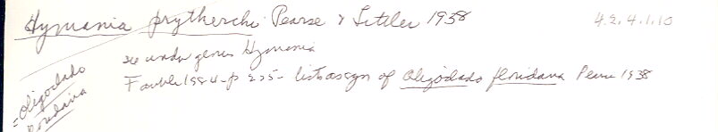 index card