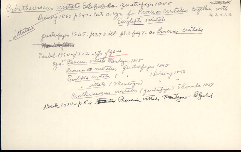 index card